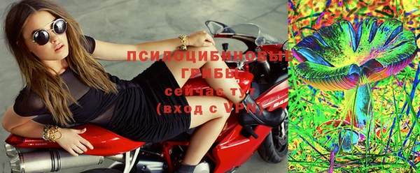 МДПВ Белокуриха