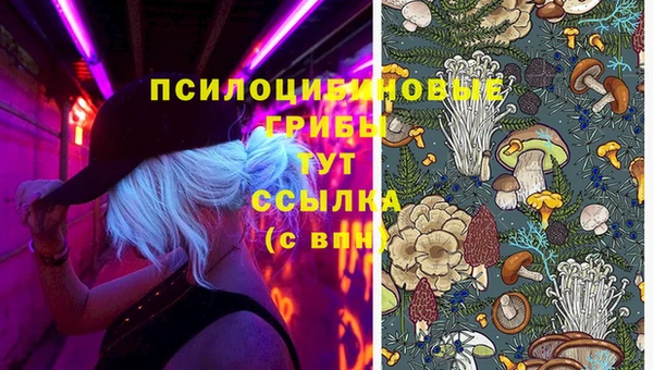 МДПВ Белокуриха