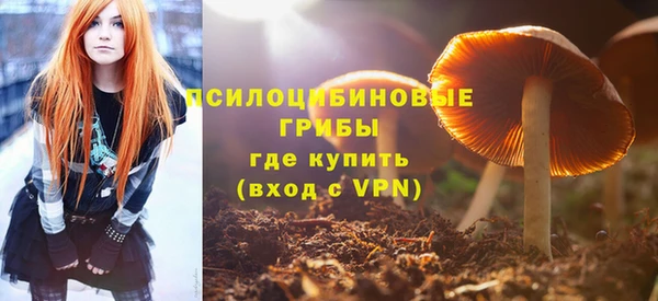 МДПВ Белокуриха