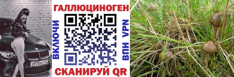 OMG ССЫЛКА Юрга нарко площадка наркотические препараты Галлюциногенные грибы Cubensis